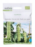 Semi di Gloriosa (Pisello Nano Rugoso)