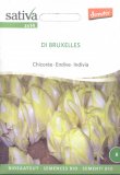 Semi di Indivia di Bruxelles