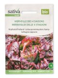 Semi di Lattuga a Cappucio - Meraviglia delle 4 Stagioni