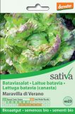 Semi di Lattuga Batavia (Canasta) "Maravilla di Verano"