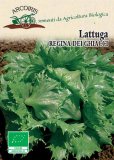 Semi di Lattuga Regina dei Ghiacci - 5 gr - BU021