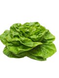 Semi di Lattuga "Regina di Maggio" Bio