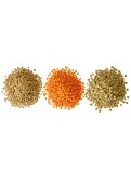 Semi di Lenticchia Multicolore Bio