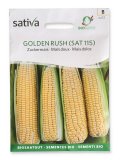 Semi di Mais Dolce - Golden Rush