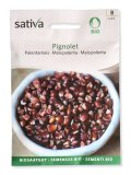 Semi di Mais Polenta - Pignolet