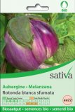 Semi di Melanzana Rotonda Bianca Sfumata