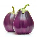 Semi di Melanzana Violetta di Firenze Bio