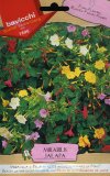 Semi di Meraviglia o Bella di Notte - Mirabilis Jalapa