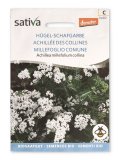 Semi di Millefoglio Comune - Achillea Millefolium Collina
