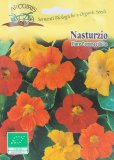Semi di Nasturzio Bio