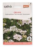 Semi di Orlaya Fiore Annuale