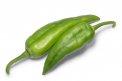 Semi di Peperone Friariello Bio