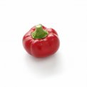 Semi di Peperone Topepo Rosso - 500 Semi - B578-4