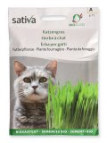 Semi di Pianta da Foraggio Erba per Gatti