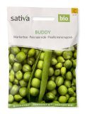 Semi di Pisello Nano Rugoso Buddy