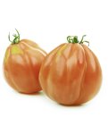 Semi di Pomodoro Canestrino Bio