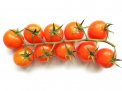 Semi di Pomodoro Ciliegia - 500 semi