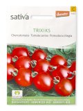 Semi di Pomodoro Ciliegia Trixi KS