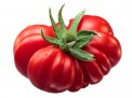 Semi di Pomodoro Costoluto di Parma Bio
