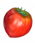 Semi di Pomodoro Cuor di Bue Bio