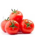 Semi di Pomodoro Homestead Bio
