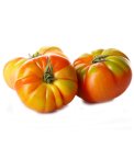 Semi di Pomodoro Pantano Romanesco