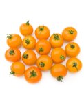 Semi di Pomodoro Ponderosa Bio