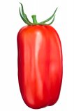 Semi di Pomodoro Scatolone 3 Bio
