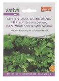 Semi di Prezzemolo Liscio Gigante d'Italia - kr37