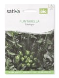 Semi di Puntarella Catalogna