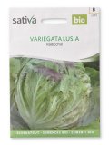 Semi di Radicchio - Variegata Luisa