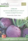 Semi di Rapa Tonda a Colletto Viola Navone