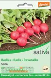 Semi di Ravanello "Sora"