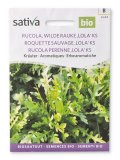 Semi di Rucola Perenne - Lola Ks