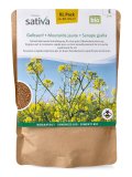 Semi di Sovescio Senape Gialla