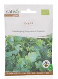 Semi di Sovescio Solana