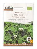 Semi di Sovescio - Trifoglio Bianco