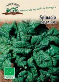 Semi di Spinacio Matador Bio