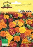Semi di Tagete Nana - Fio08