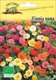 Semi di Zinnia Nana per le Api - Fio07