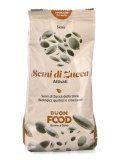 Semi di Zucca Attivati Bio