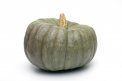 Semi di Zucca Beretta Piacentina Bio