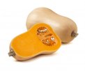 Semi di Zucca Butternut - BU050