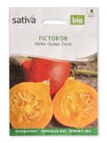 Semi di Zucca -  Fictor DB