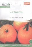 Semi di Zucca - Jack O' Lantern