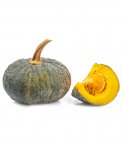 Semi di Zucca Marina di Chioggia