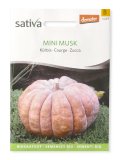 Semi di Zucca - Mini Musk