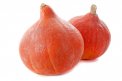 Semi di Zucca Red Kuri - BU095
