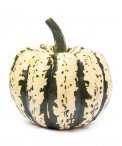Semi di Zucca Sweet Dumpling