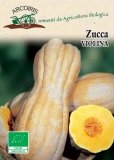 Semi di Zucca Violina - 4 gr - BU038
